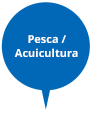 Pesca / Acuicultura