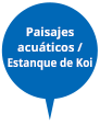 Paisajes acuáticos / Estanque de Koi